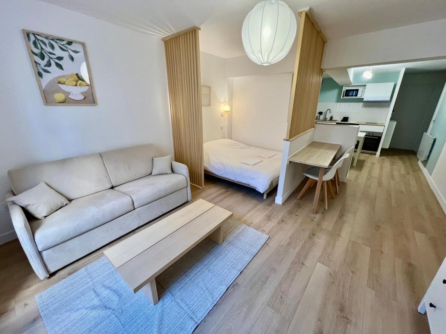 Large Bright Appartement Poitiers